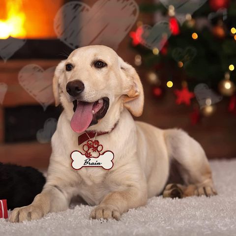  Dog Bone Ornament 