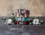Engraved leather dog collar