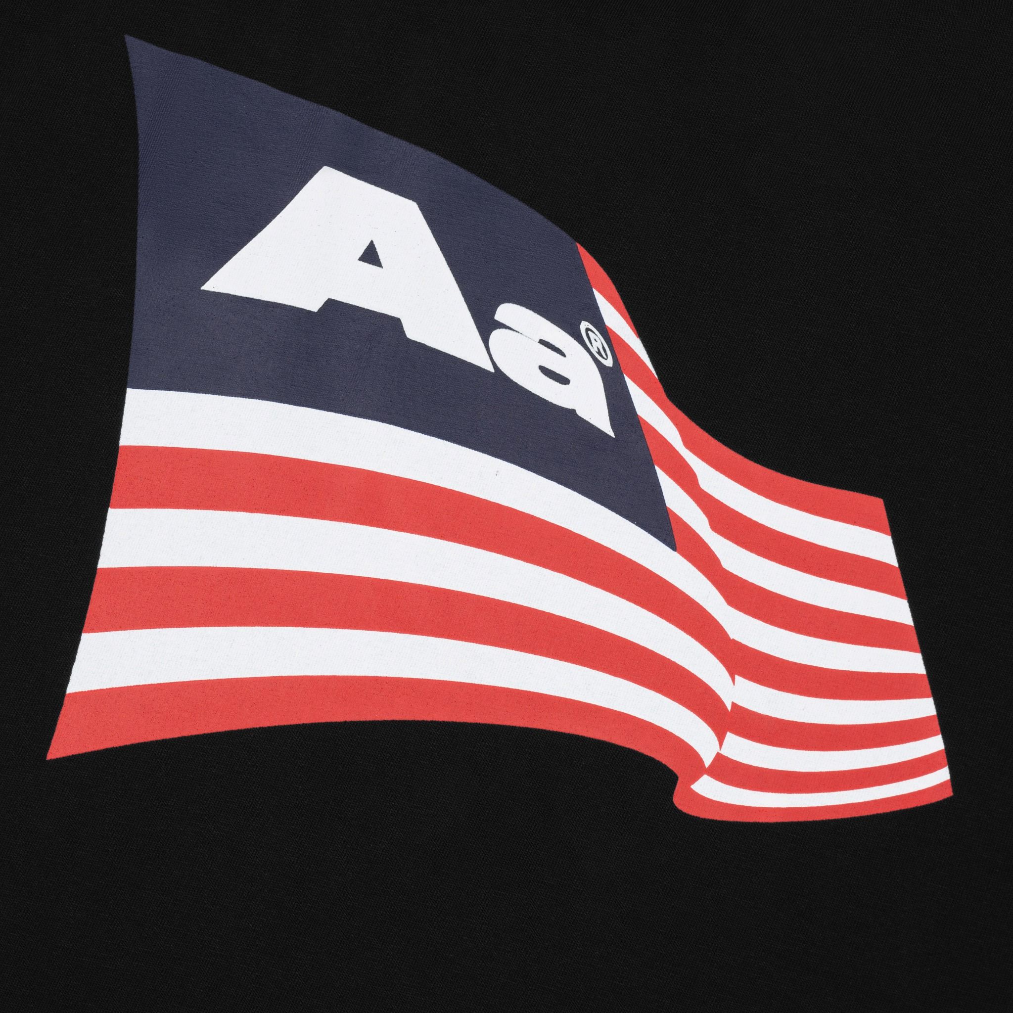 AA FLAG LOGO TEE // BLACK – AASTU®