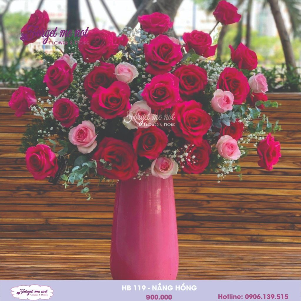  HB119 - NẮNG HỒNG 