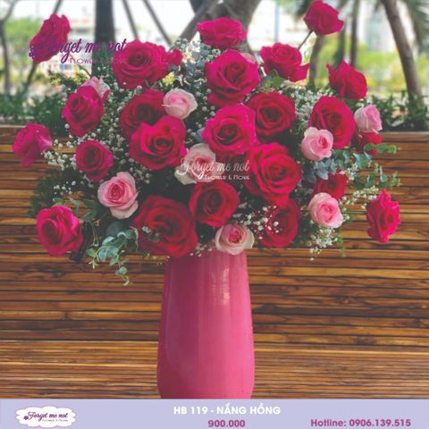  HB119 - NẮNG HỒNG 