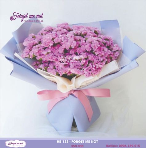  HB 133 - FORGET ME NOT 