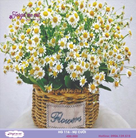  GH 116 - NỤ CƯỜI 