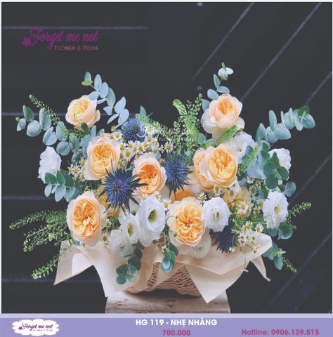  HG 119 - NHẸ NHÀNG 