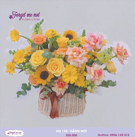  HG122 - NẮNG MỚI 