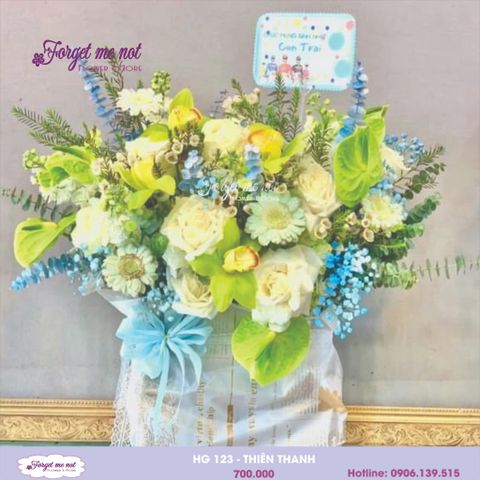  HG123 - PHẤN HỒNG 