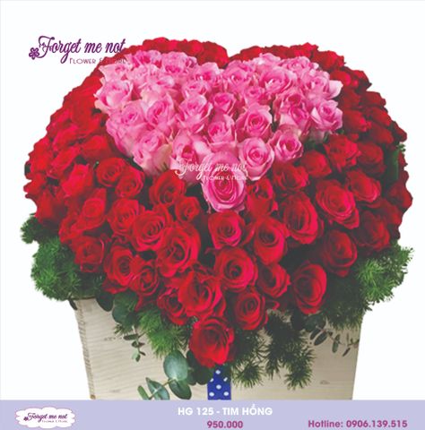  HG126 - TIM HỒNG 