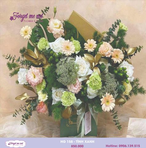  HG158 - TÌNH XANH 