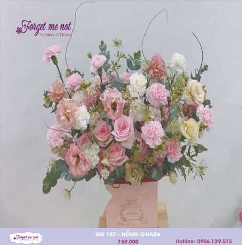  HG157 - HỒNG OHARA 
