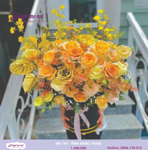  HG161- TÌNH KHÚC VÀNG 