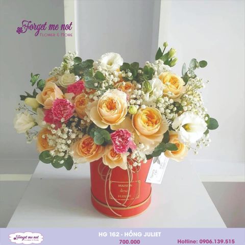  HG162- HỒNG JULIET 