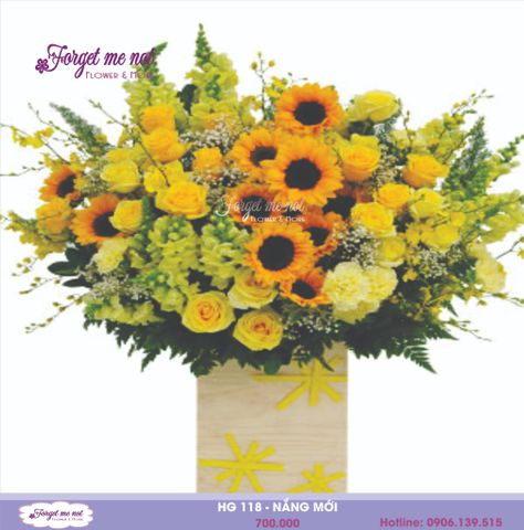  HG118 - NĂNG MỚI 