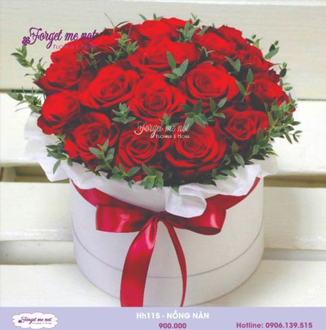  HH115- HỒNG THẮM 