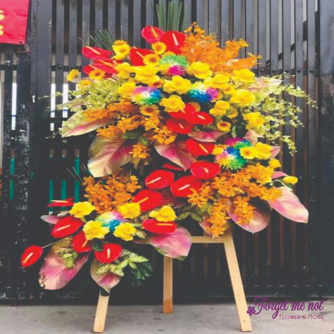  Kệ hoa khai trương cầu vồng 