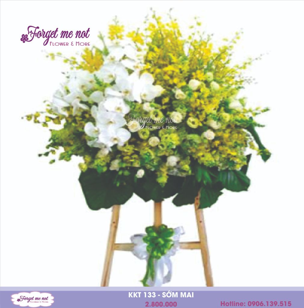  KKT 133 - SỚM MAI 