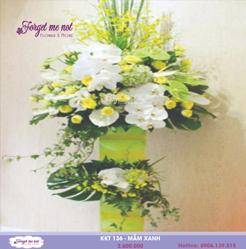  KKT 136 - MẦM XANH 