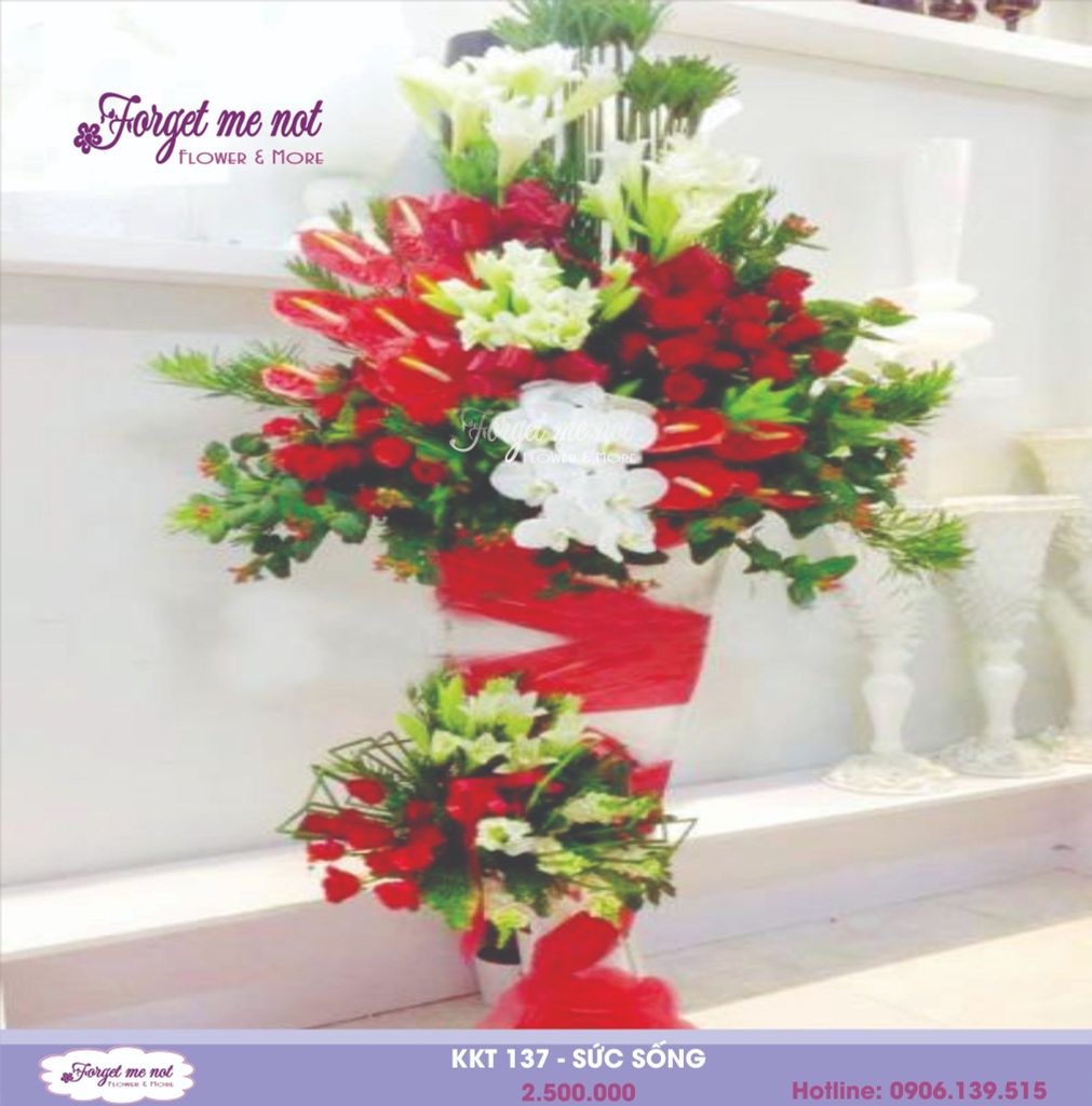  KKT 137 - SỨC SỐNG 