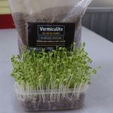  Đá Vermiculite – đá Vơ mi Namix (Size 2 – 4mm) 