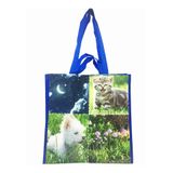  PP Woven Shopping Bags 
