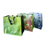  PP Woven Shopping Bags 