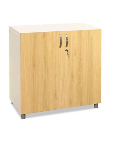 Tủ sắt cánh gỗ TSG02-2