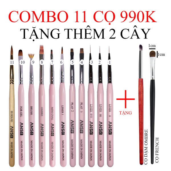  Combo Bộ Cọ ANSC 11 Tặng Ombre cứng + French 