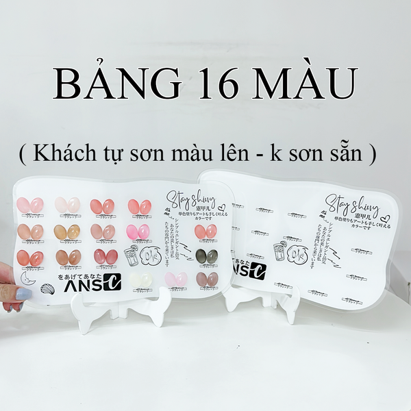 Bảng Màu Sơn Gel ANSC 