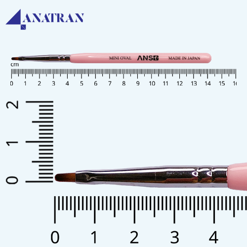  Cọ Mini Oval Bản Tròn ANSC 