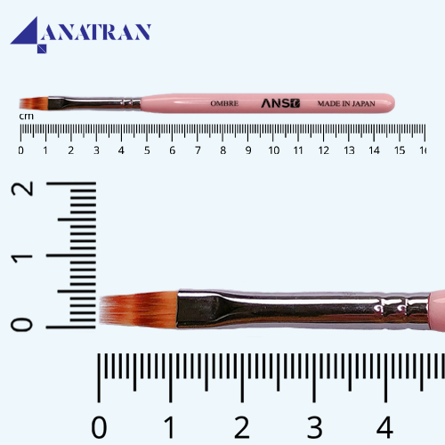  Cọ Ombre ANSC 