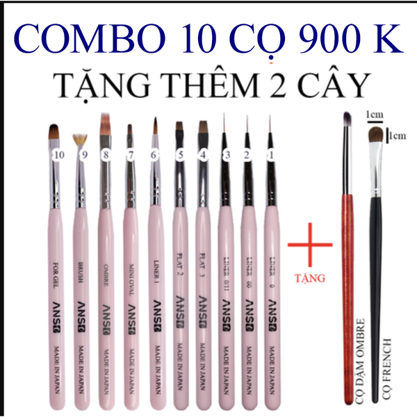  Combo Bộ Cọ ANSC 10 Tặng Ombre cứng + French 