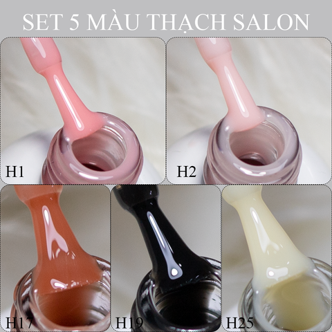  SET 5 Sơn Gel Thạch Hot Salon ANSC 