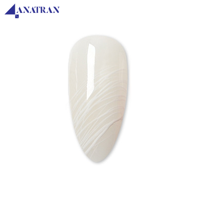  Gel Mạng Nhện ANSC 