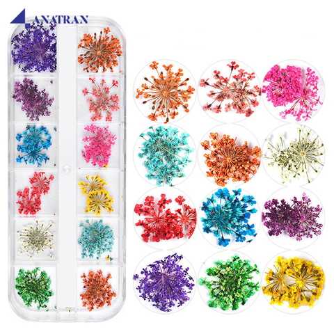  Hoa Khô Trang Trí Móng Tay 