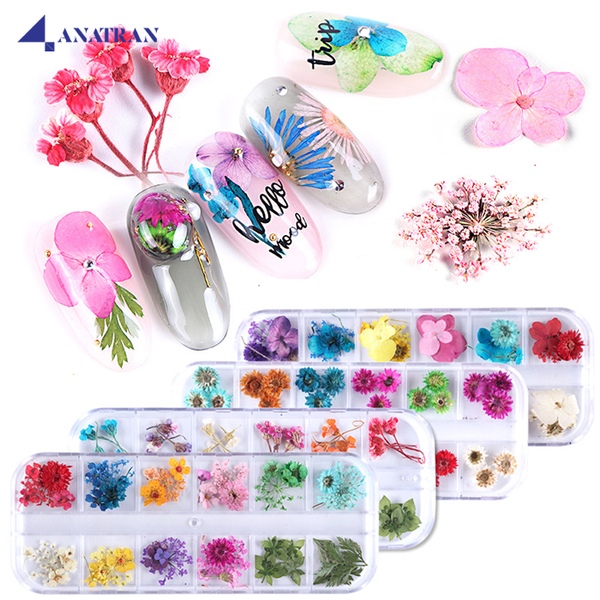  Hoa Khô Trang Trí Móng Tay 