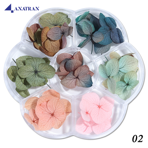  Hoa Khô Trang Trí Móng Tay 