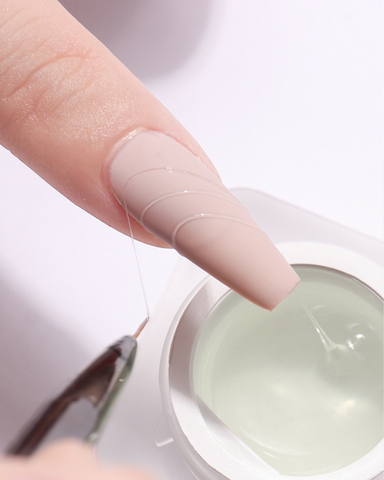  Gel Mạng Nhện ANSC 