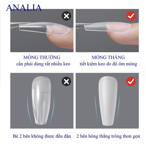  Móng Dán Úp ANSC Lưng Thẳng 