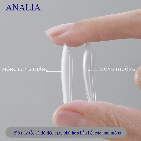  Móng Dán Úp ANSC Lưng Thẳng 