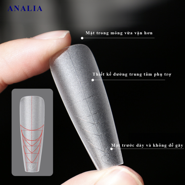  Móng Up Vạch Kẻ Loại Dài ANSC 