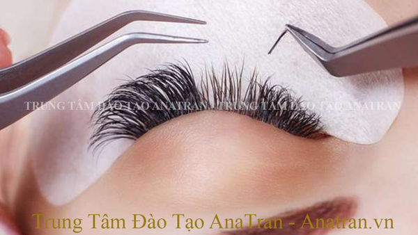  Kỹ Thuật Nối Mi Cao Cấp 