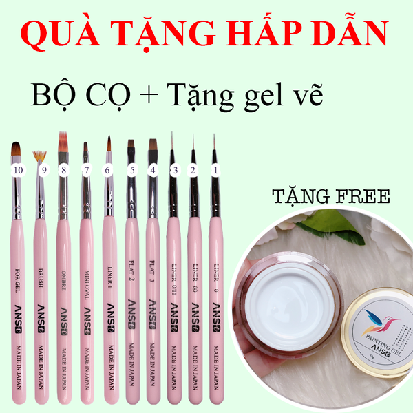  Combo 10 cọ ANSC tặng Gel vẽ Trắng 