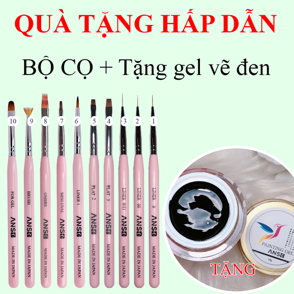  Combo 10 cọ ANSC tặng Gel vẽ Đen 