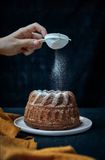 Đường Xay Icing Sugar Farina | Túi 1kg, Bao 25kg