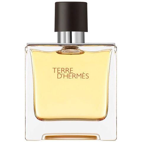  Hermes Terre d’Hermes Pure Parfum 