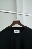  Áo Bộ Sweater Cotton Trơn Form Regular 2412013 AB 