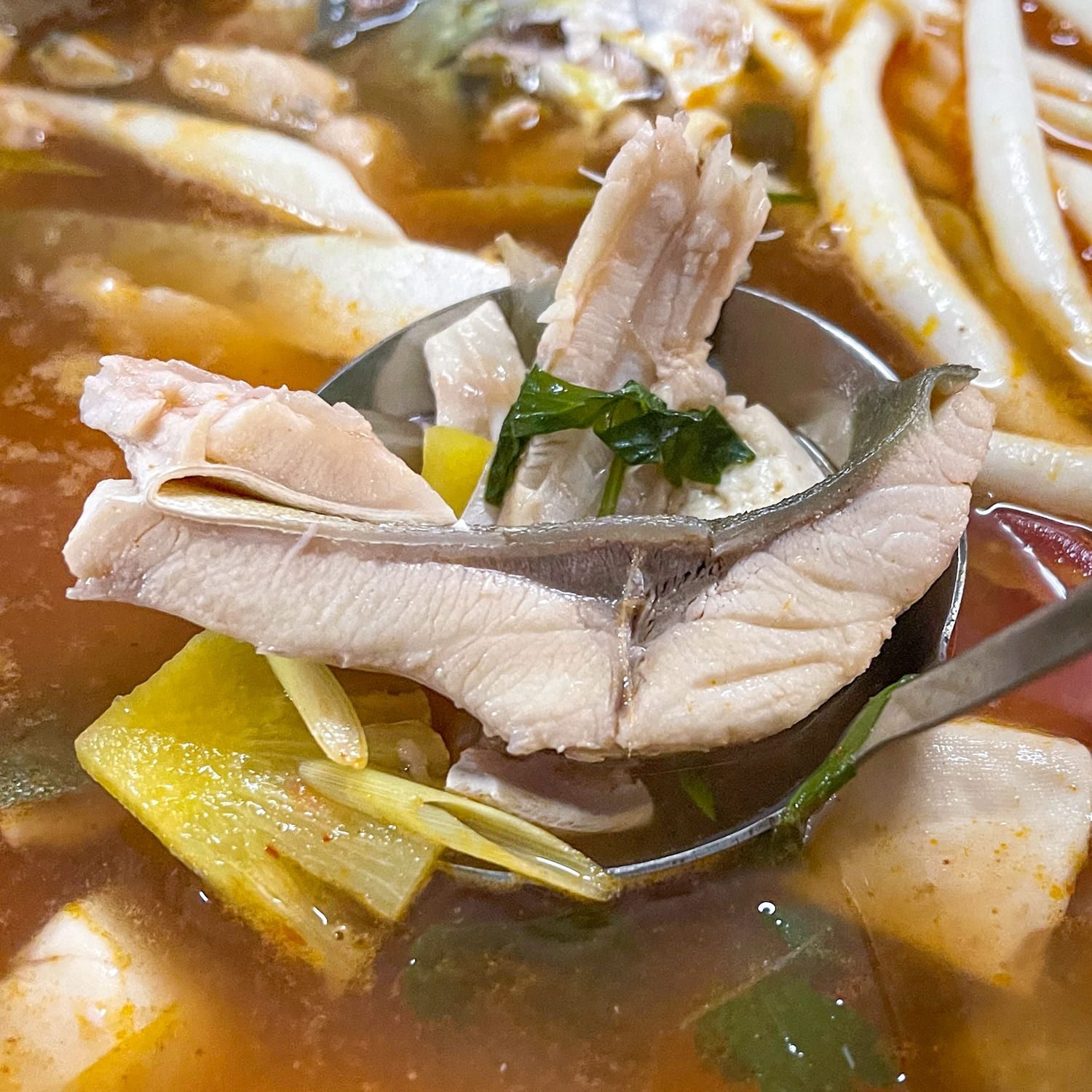  Lẩu Cá Chim Biển 