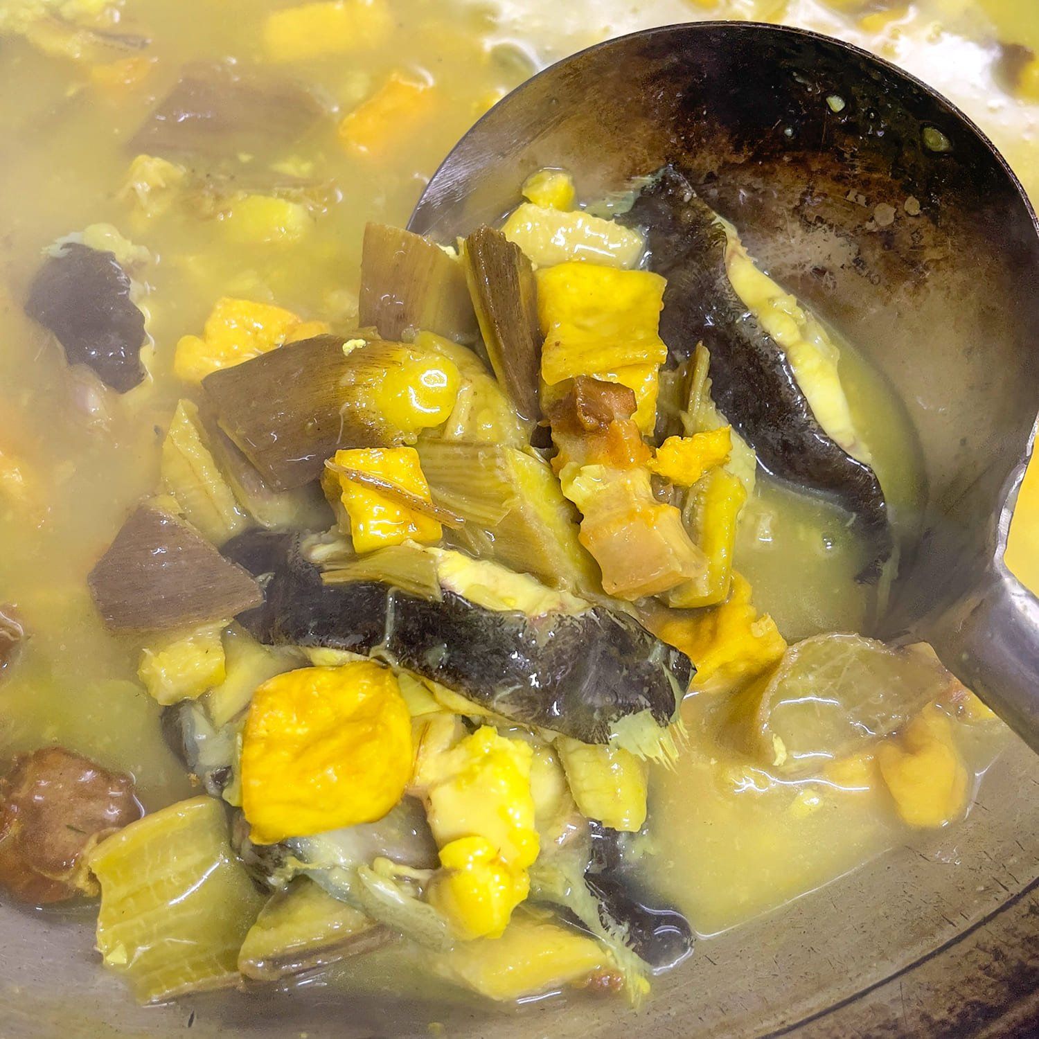  Cá Chình Hoa Om Chuối Đậu 