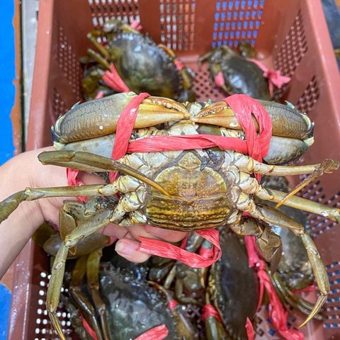 TẤT CẢ SẢN PHẨM