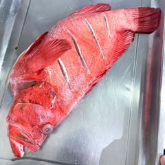 c 225 m 250 do bip hap x 236 dau