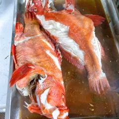 c 225 m 250 do bip hap x 236 dau